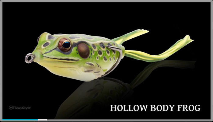 hollowfrog_video