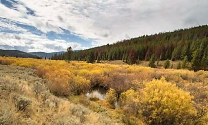 wildlifehabitat