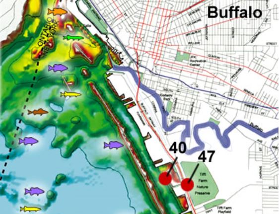 for-sto-10182016-fishing-picture-3of3