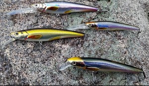 Gary Abernethy found great success and heavy-duty tooth mark souvenirs using action-style stickbaits in rainbow smelt or golden shiner colors with these effective LiveTarget Lures. 