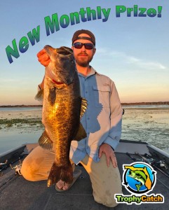 For STO 02022017, Picture 1of1