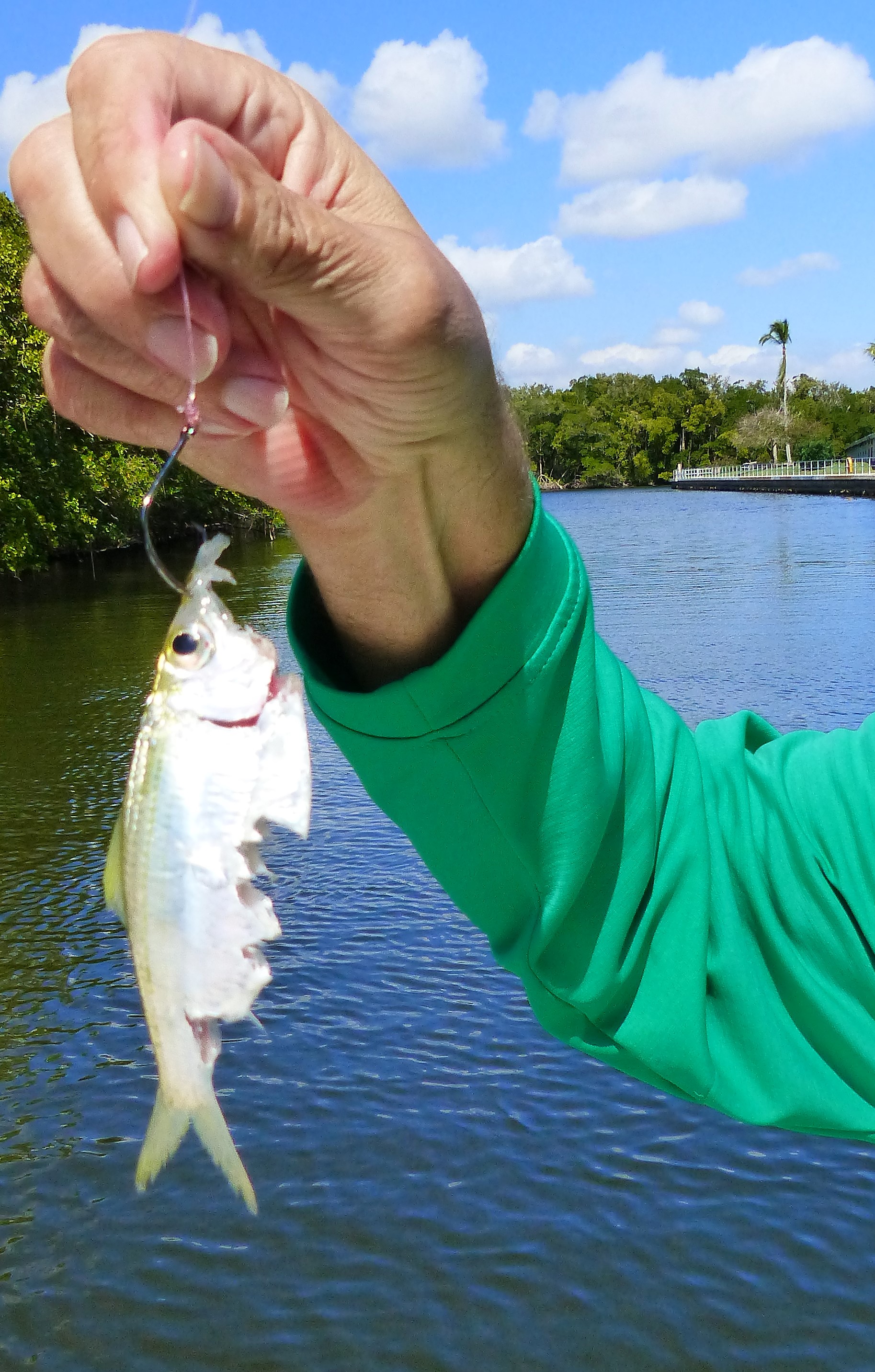 Snook on the Hook – Sanibel Island, Florida | Share the Outdoors