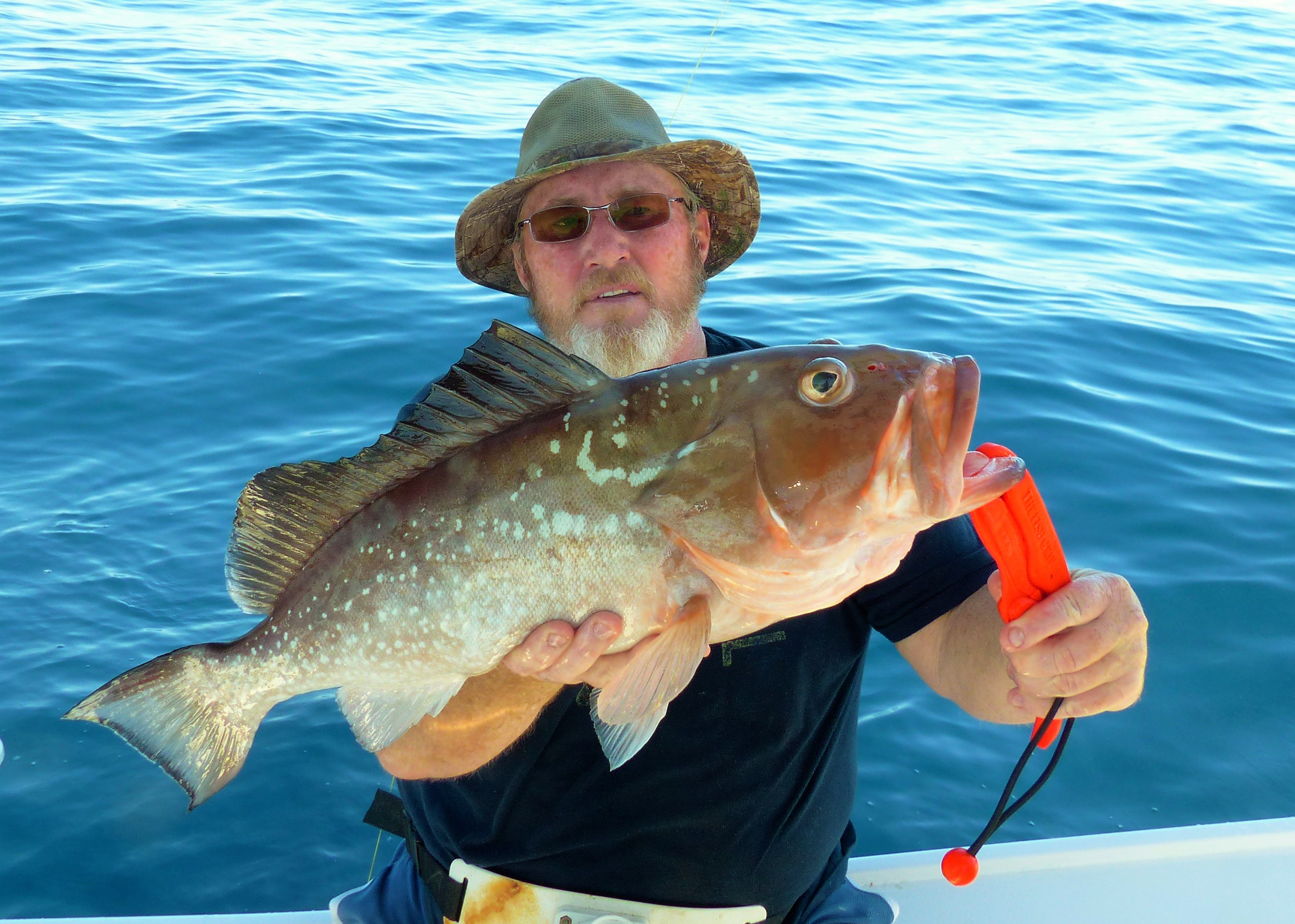 Shipwreck Fishing in Southwest Florida - Red Grouper and Snapper Fun