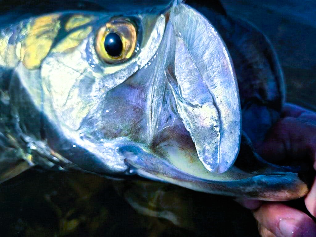 God, Grit and the Great Outdoors