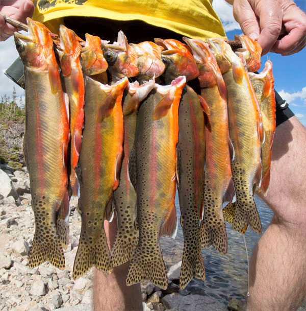 Sylvan Lake Archives Share the Outdoors