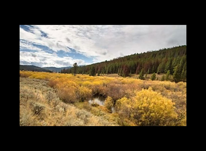 Wildlife Habitat, History, Permanently Protected in Montana