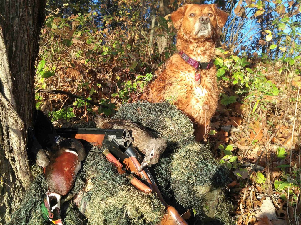 Green Timber Duck Hunting Share the Outdoors