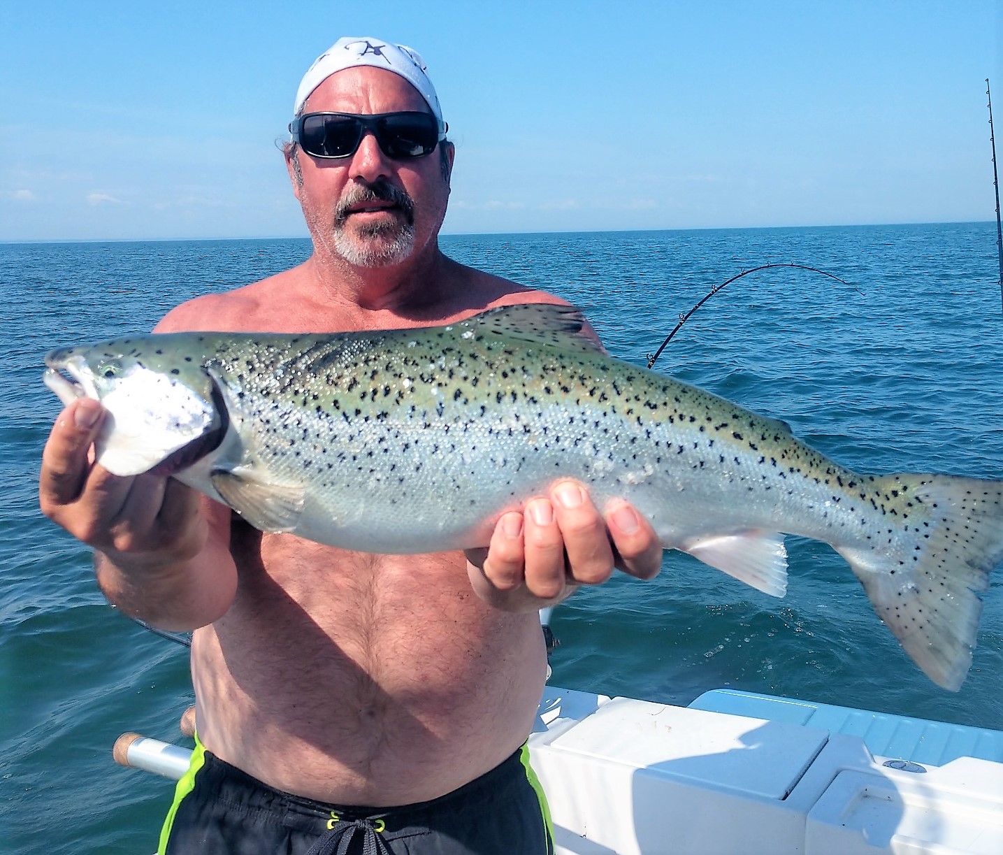 Bill Hilts Fishing Forecast for Niagara Falls USA
