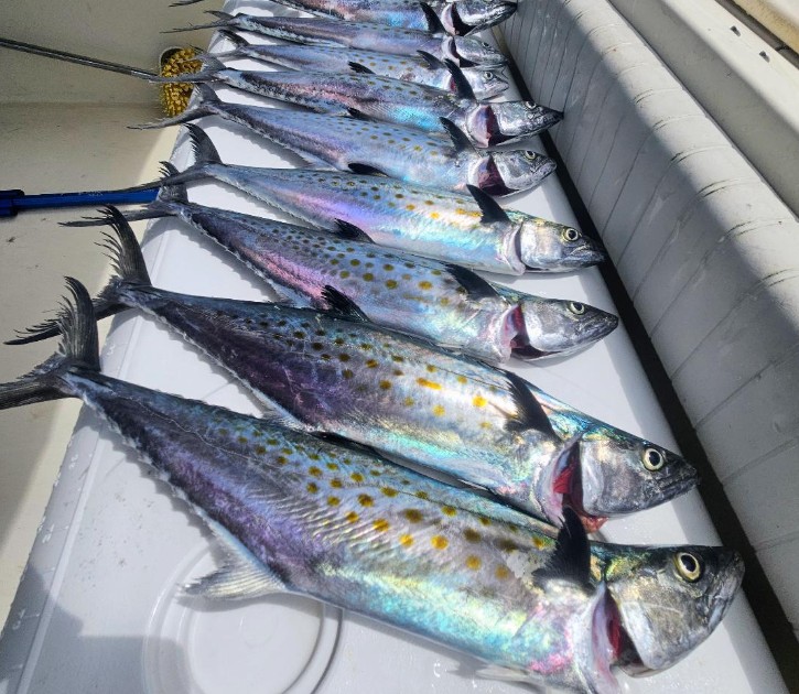 One Reel. One Rod. Any Saltwater Fish – THAT’S FUN!