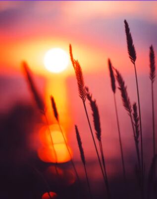 The Sun is Coming Up in the Morning