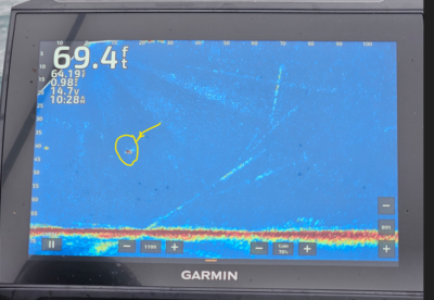 Is Forward Facing Sonar Creating Technology Divide?
